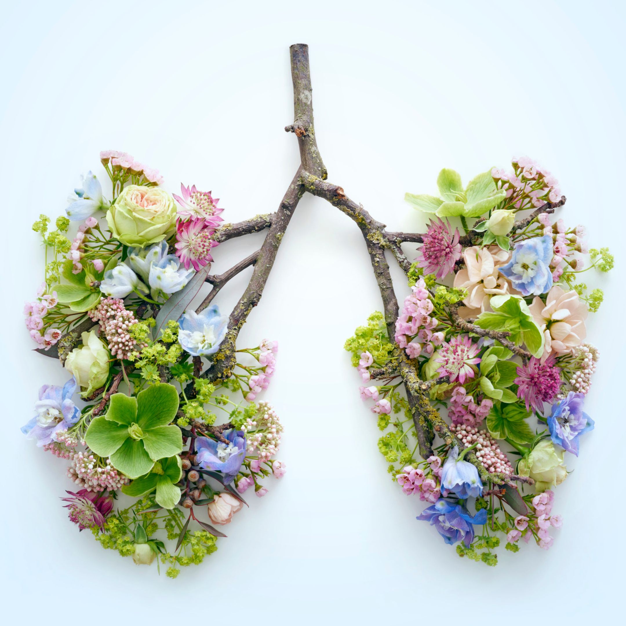 Breathwork Workshop